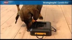 Trixie Dogtoy Dog Activity Strategy Game Gamble Box - Piepend Speelgoed - 15cm X 15cm X 9cm - Zwart/rood/oranje -Hondenbenodigdheden Korting 1200x675 5