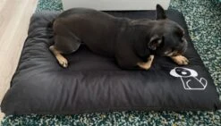 Hondenkussen XXXL -Donkergrijs - 85 X 120 X 14 -Hondenbenodigdheden Korting 1200x685