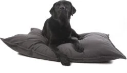 Lex & Max Tivoli - Hondenkussen - Rechthoek - 100x70cm - Grijs 7 Lex & Max Tivoli - Hondenkussen - Rechthoek - 100x70cm - Grijs -Hondenbenodigdheden Korting 1200x695 3