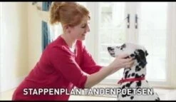 Beaphar Tandenborstel -Hondenbenodigdheden Korting 1200x697 5