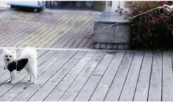 Hondenriem-Looplijn-Zwart/Grijs-8 Meter Oprol-Hond Lijn-Automatisch Rollijn 20 Hondenriem-Looplijn-Zwart/Grijs-8 Meter Oprol-Hond Lijn-Automatisch Rollijn -Hondenbenodigdheden Korting 1200x703