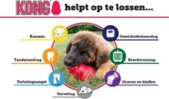 Kong Puppy - Kauwbot Hondenspeelgoed Small - Kauwbot - 85mm X 42mm - Groen/Wit -Hondenbenodigdheden Korting 1200x704 5
