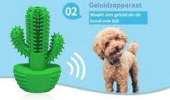 Tandenborstel + TANDPASTA Hond Melk Geur Smaak En Piep Honden Speelgoed - Cactus Dog Toy Tandverzorging Kauwbotten Hondenspeelgoed Hondenbot Kauwstaaf Tanden Puppy Hondenspeeltje Sterk Kauwspeelgoed - Dutchwide -Hondenbenodigdheden Korting 1200x707 1