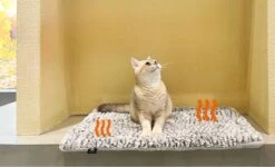 Merkloos Zelfverwarmende Dierendeken Zonder Stroom Thermo Deken Hond Kat Inclusief Adreslabel 70 X 47 Cm -Hondenbenodigdheden Korting 1200x730