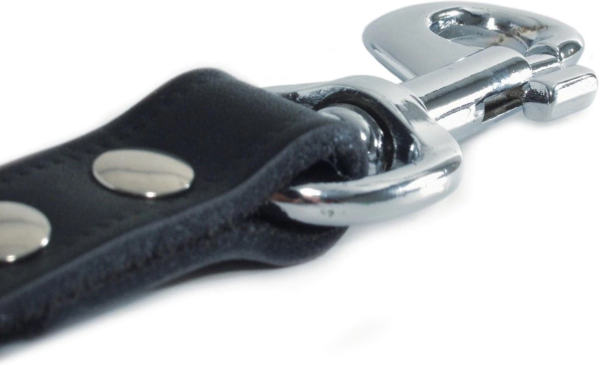 Beeztees Korthouder - Hondenriem - Leer - Bruin - 40x18 Cm 2 Beeztees Korthouder - Hondenriem - Leer - Bruin - 40x18 Cm - Afbeelding 2