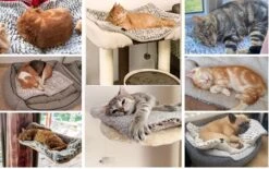 Merkloos Zelfverwarmende Dierendeken Zonder Stroom Thermo Deken Hond Kat Inclusief Adreslabel 70 X 47 Cm -Hondenbenodigdheden Korting 1200x751 4