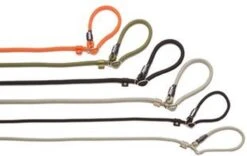 Rebel Petz - Honden Trainingslijn Met Halsband - Taupe, Zwart, Groen & Oranje - Maat Small Of Large - Kleur: Oranje, Maat: Large -Hondenbenodigdheden Korting 1200x756 3