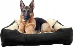 Ecco - Honden- En Kattenbed Met Kussen | Binnenmaat: 130x100 / Buitenmaat: 145x115cm - Beige / Zwart -Hondenbenodigdheden Korting 1200x772