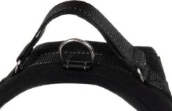 PetsPro Hondentuigje - Maat M - Anti Trek Honden Harnas - Honden Tuig - Tot 30 Kg - Nek Omvang: 45-56 Cm Borst Omvang: 52-64 Cm 11 PetsPro Hondentuigje - Maat M - Anti Trek Honden Harnas - Honden Tuig - Tot 30 Kg - Nek Omvang: 45-56 Cm Borst Omvang: 52-64 Cm -Hondenbenodigdheden Korting 1200x776 7