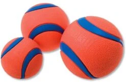 Chuckit! Ultra Ball XL – Honden Speelgoed – Ø 9 Cm – Oranje/Blauw – Apporteerspeelgoed – 1-Pack 29 Chuckit! Ultra Ball XL – Honden Speelgoed – Ø 9 Cm – Oranje/Blauw – Apporteerspeelgoed – 1-Pack -Hondenbenodigdheden Korting 1200x781 8