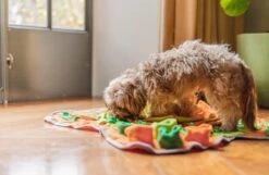 SNUFFIES® Snuffelmat Belle 60x50cm – Snuffelmat – Snuffelmatten - Honden Speelgoed - Honden Speelgoed Intelligentie - Snuffelmat Hond - Snuffelmatten – Hersenwerk – Honden Speeltjes – Puppy - Puppy Speelgoed - Honden Denkspelletjes -Hondenbenodigdheden Korting 1200x783 2