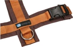 Anny.X Hondentuig Y Tuig Bruin Barnsteen Maat L Geschikt Voor Borstomvang 70-86cm -Hondenbenodigdheden Korting 1200x789 6