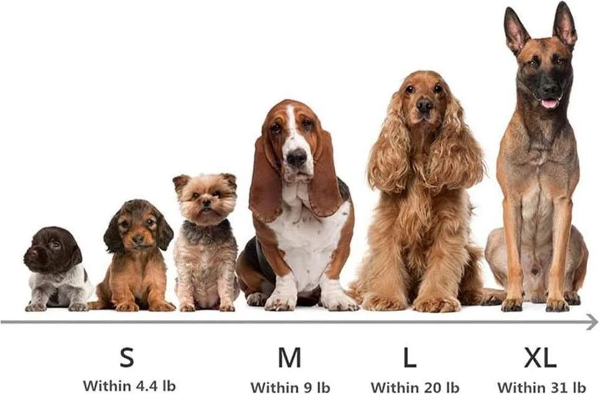 HONDEN RELAX Kussen - Superzacht Fluffy Ronde Mand 100 Cm - Taupe/Zandkleur 4 HONDEN RELAX Kussen - Superzacht Fluffy Ronde Mand 100 Cm - Taupe/Zandkleur - Afbeelding 4