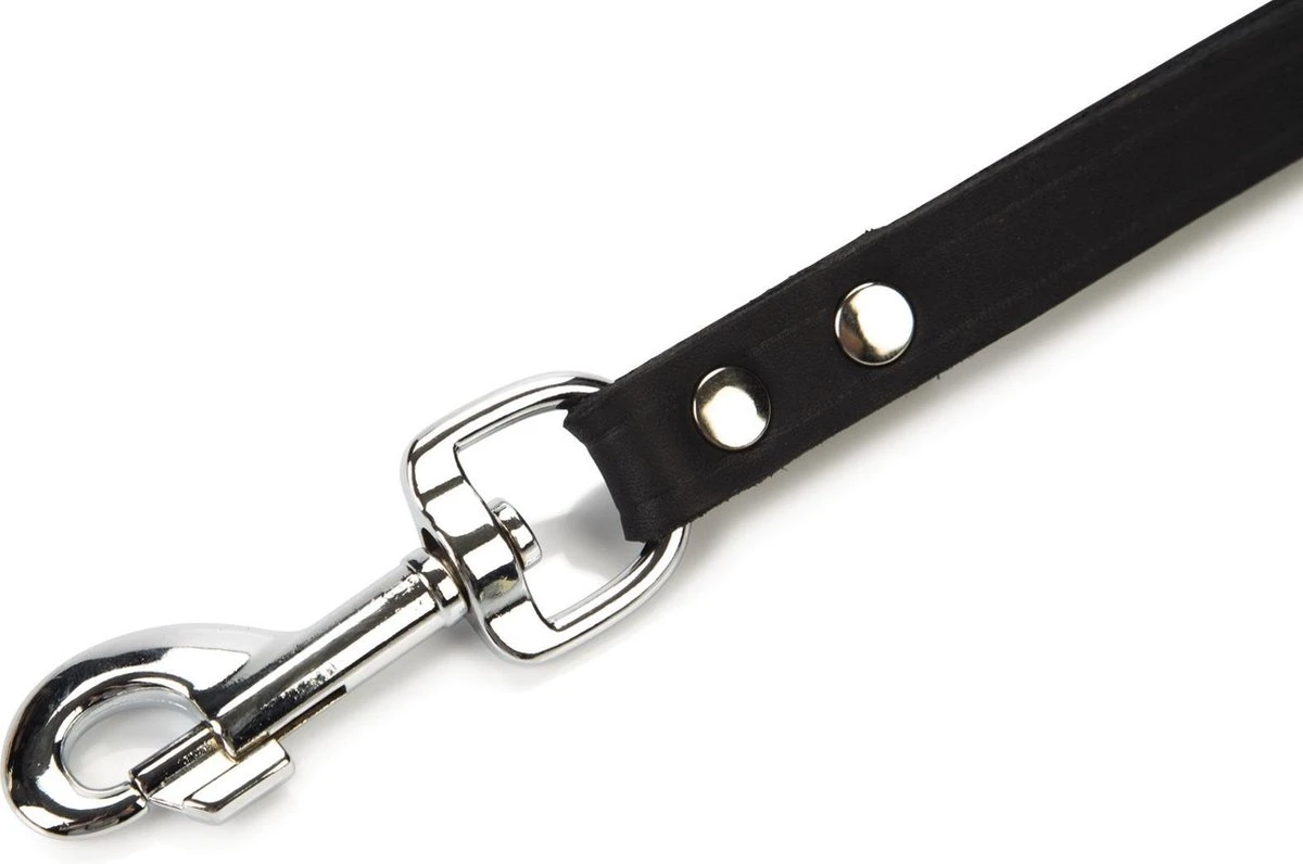 Beeztees Korthouder - Hondenriem - Leer - Bruin - 40x18 Cm 3 Beeztees Korthouder - Hondenriem - Leer - Bruin - 40x18 Cm - Afbeelding 3