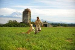 Benson Rode Honden Ballenwerper Met Ergonomische Handgreep – Inclusief Tennisbal – 38cm – Rood | Balwerper Voor Hond | Bal Werpen | Apporteer Speelgoed | Hondenspeelgoed 14 Benson Rode Honden Ballenwerper Met Ergonomische Handgreep – Inclusief Tennisbal – 38cm – Rood | Balwerper Voor Hond | Bal Werpen | Apporteer Speelgoed | Hondenspeelgoed -Hondenbenodigdheden Korting 1200x798 11