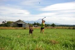 Benson Rode Honden Ballenwerper Met Ergonomische Handgreep – Inclusief Tennisbal – 38cm – Rood | Balwerper Voor Hond | Bal Werpen | Apporteer Speelgoed | Hondenspeelgoed 15 Benson Rode Honden Ballenwerper Met Ergonomische Handgreep – Inclusief Tennisbal – 38cm – Rood | Balwerper Voor Hond | Bal Werpen | Apporteer Speelgoed | Hondenspeelgoed -Hondenbenodigdheden Korting 1200x798 12