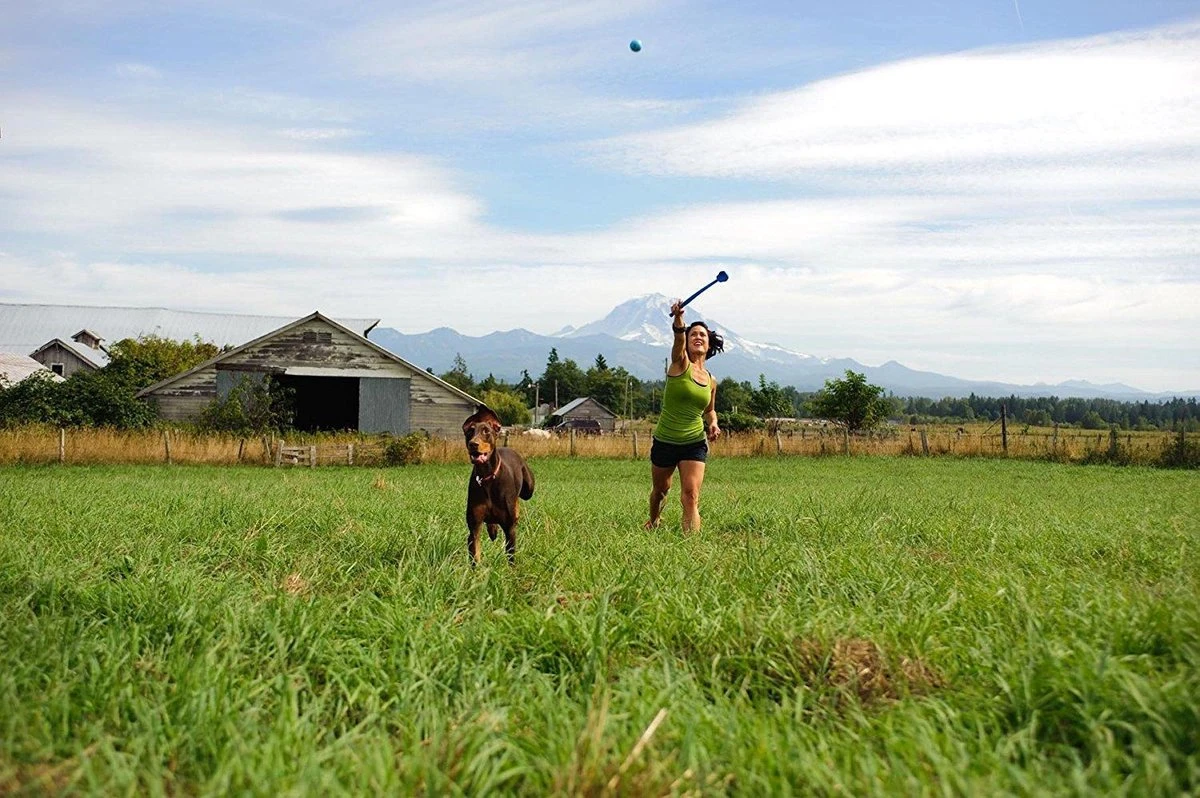 Benson Rode Honden Ballenwerper Met Ergonomische Handgreep – Inclusief Tennisbal – 38cm – Rood | Balwerper Voor Hond | Bal Werpen | Apporteer Speelgoed | Hondenspeelgoed 5 Benson Rode Honden Ballenwerper Met Ergonomische Handgreep – Inclusief Tennisbal – 38cm – Rood | Balwerper Voor Hond | Bal Werpen | Apporteer Speelgoed | Hondenspeelgoed - Afbeelding 5