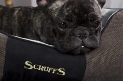 Hondenmand Zacht En Stevig, Anti-Slip En Wasbaar - Scruffs Chester Box Bed - In Grijs En Bruin In Maat S Tot XL - Kleur: Grijs, Maat: Large 38 Hondenmand Zacht En Stevig, Anti-Slip En Wasbaar - Scruffs Chester Box Bed - In Grijs En Bruin In Maat S Tot XL - Kleur: Grijs, Maat: Large -Hondenbenodigdheden Korting 1200x799 20