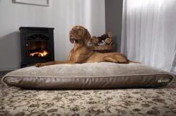 Scruffs Chateau - Hondenbed Orthopedisch Met Memory Foam Voor Extra Steun Voor Rug En Gewrichten - Grijs & Bruin Maat M/L - Kleur: Grijs, Maat: Medium 39 Scruffs Chateau - Hondenbed Orthopedisch Met Memory Foam Voor Extra Steun Voor Rug En Gewrichten - Grijs & Bruin Maat M/L - Kleur: Grijs, Maat: Medium -Hondenbenodigdheden Korting 1200x799 31