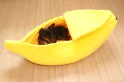 N/A Kattenhuis Banaan L - Hondenhuis Banaan L - 65x25x18 Cm - Kattenmand - Hondenmand - Dierenmand - Cadeau Kat -Hondenbenodigdheden Korting 1200x799 33