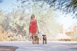 Wigzi Dual Doggie 2.0 Voor Twee Honden - Hondenriem - Grijs - 3m - <22 Kg (per Hond) -Hondenbenodigdheden Korting 1200x799 35