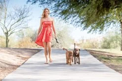 Wigzi Dual Doggie 2.0 Voor Twee Honden - Hondenriem - Grijs - 3m - <22 Kg (per Hond) -Hondenbenodigdheden Korting 1200x799 37