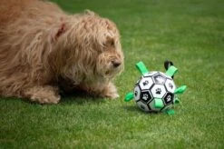 Honden Speelgoed Bal Voetbal Extra Sterk Met Handvaten Ball Hondenbal - 15 Cm - Dutchwide -Hondenbenodigdheden Korting 1200x799 52
