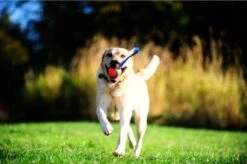 Chuckit! Chuckit Ultra Tug – Hondenspeelgoed - Blauw/Oranje – Large - ø 7 Cm -Hondenbenodigdheden Korting 1200x799 56