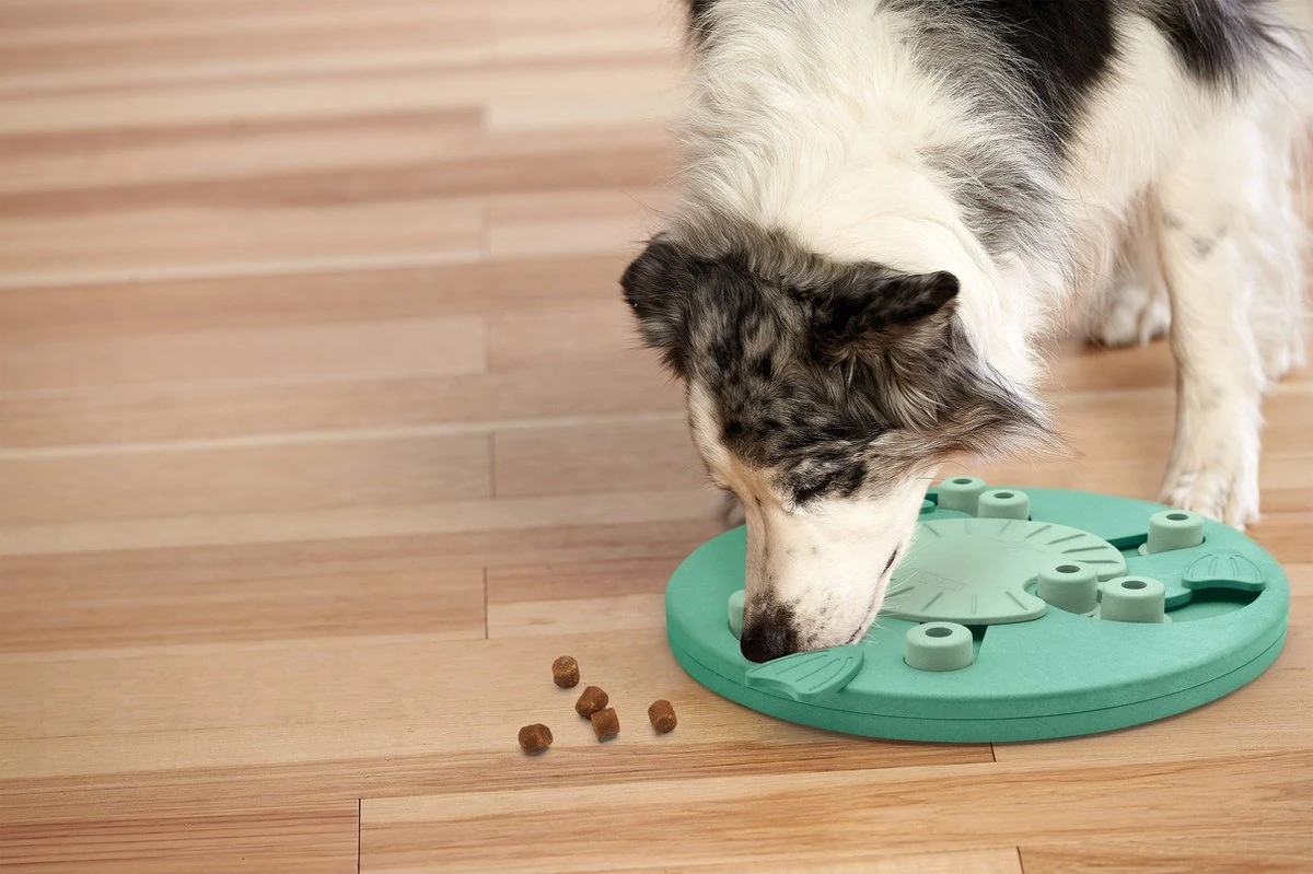 Nina Ottosson Dog Worker Composiet 34,5x34,5x5 Cm 6 Nina Ottosson Dog Worker Composiet 34,5x34,5x5 Cm - Afbeelding 6