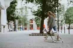 Julius K9 Julius-K9 IDC®Powertuig, L - Maat 1, Zwart -Hondenbenodigdheden Korting 1200x799 66