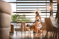 Julius K9 Julius-K9 IDC®Powertuig, XL - Maat 2, Zwart 19 Julius K9 Julius-K9 IDC®Powertuig, XL - Maat 2, Zwart -Hondenbenodigdheden Korting 1200x799 69