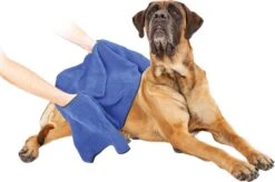 Dierenhanddoek Microvezel - Honden En Katten - Incl. Handvatten - 40x60 Cm - Blauw -Hondenbenodigdheden Korting 1200x799 8