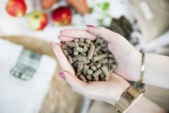 Kivo Petfood Hondenbrokken Gedroogde Lam - 14 Kg - Koudgeperst - Graanvrij -Hondenbenodigdheden Korting 1200x800 1