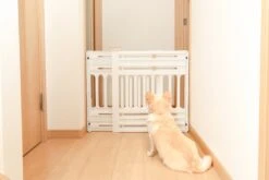 Iris Ohyama Huisdier Bariere PBR-600 - Kunststof - Wit/Beige - Uitschuifbaar -Hondenbenodigdheden Korting 1200x800 103