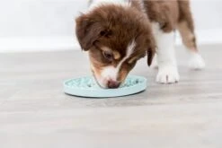 Trixie Junior Likplaat Mintgroen (15X15 CM) -Hondenbenodigdheden Korting 1200x800 132