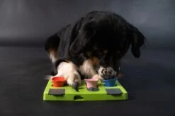 Eat Slow Live Longer Puzzel Rectangle – Intelligentie Speelgoed Voor Honden – Interactief Hondenspeelgoed – Uitdagende Hondenpuzzel – Gerecyclede Materialen – Te Vullen Met Snacks - 25x26x5 Cm - Groen -Hondenbenodigdheden Korting 1200x800 136