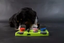 Eat Slow Live Longer Puzzel Rectangle – Intelligentie Speelgoed Voor Honden – Interactief Hondenspeelgoed – Uitdagende Hondenpuzzel – Gerecyclede Materialen – Te Vullen Met Snacks - 25x26x5 Cm - Groen -Hondenbenodigdheden Korting 1200x800 138