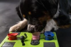 Eat Slow Live Longer Puzzel Rectangle – Intelligentie Speelgoed Voor Honden – Interactief Hondenspeelgoed – Uitdagende Hondenpuzzel – Gerecyclede Materialen – Te Vullen Met Snacks - 25x26x5 Cm - Groen -Hondenbenodigdheden Korting 1200x800 139