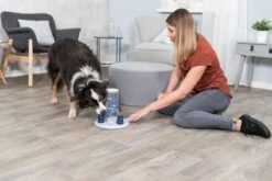 Trixie Dog Activity Gambling Tower - 27X25 CM -Hondenbenodigdheden Korting 1200x800 144