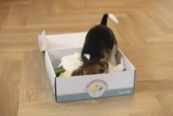 Merkloos Beeztees Puppy Cadeaupakket - Puppy Pakket - Leuke Box Met Puppy Speelgoed En Snacks -Hondenbenodigdheden Korting 1200x800 167