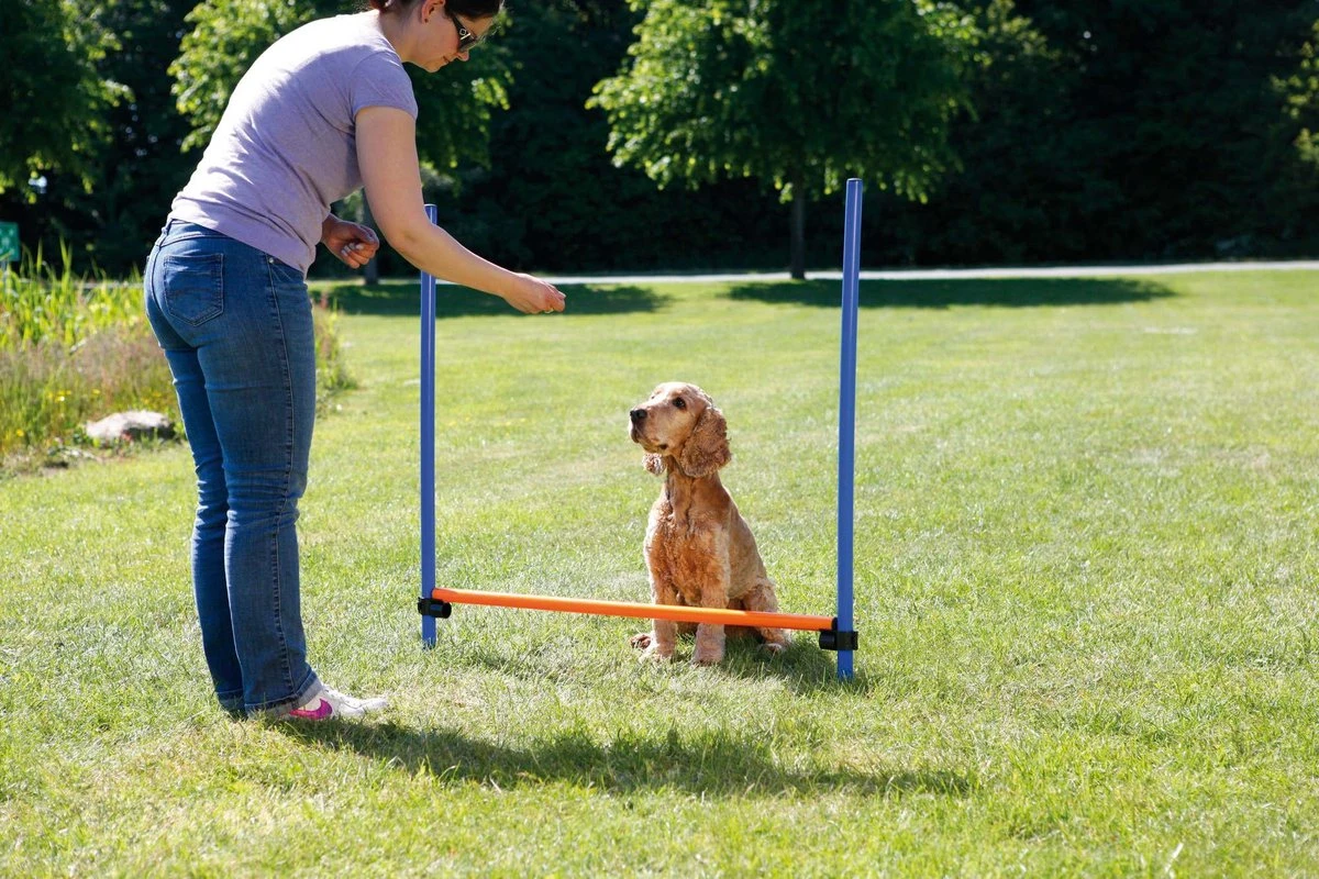 Trixie Dog Activity Agility Horde - Blauw/Oranje - 123 X 115 X 3 Cm 8 Trixie Dog Activity Agility Horde - Blauw/Oranje - 123 X 115 X 3 Cm - Afbeelding 8