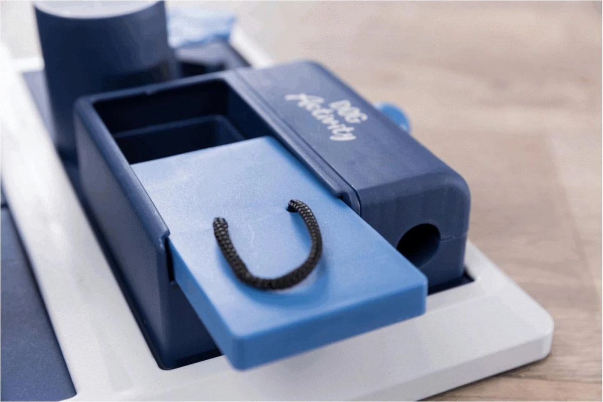 Trixie Dog Activity Poker Box 2 31x31 Cm 6 Trixie Dog Activity Poker Box 2 31x31 Cm - Afbeelding 6