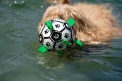 Honden Speelgoed Bal Voetbal Extra Sterk Met Handvaten Ball Hondenbal - 15 Cm - Dutchwide -Hondenbenodigdheden Korting 1200x800 198