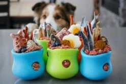 West Paw Toppl Zogoflex - Uitdagend En Sterk Speelgoed Voor Honden - Slowfeeder - Vulbaar Met Voer Of Snacks - Kleur: Groen, Maat: Large -Hondenbenodigdheden Korting 1200x800 205