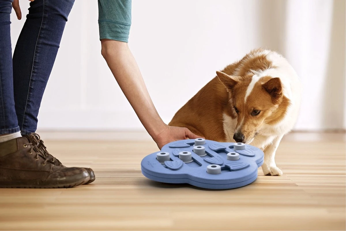 Nina Ottosson Dog Hide N Slide Composiet 33x33x5 Cm 2 Nina Ottosson Dog Hide N Slide Composiet 33x33x5 Cm - Afbeelding 2