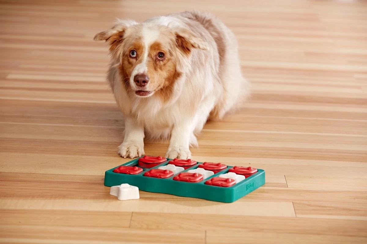 Nina Ottosson - Hondenspel - Dog Brick 6 Nina Ottosson - Hondenspel - Dog Brick - Afbeelding 6