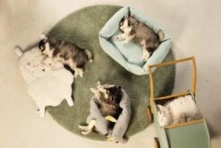 Beeztees Puppy Sjiepo - Hondenspeelgoed - Wit - 40x22x5 Cm -Hondenbenodigdheden Korting 1200x800 239