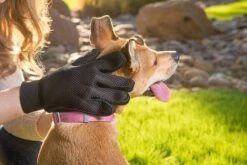 Merkloos Vachtverzorgingshandschoen -Hondenbenodigdheden Korting 1200x800 24