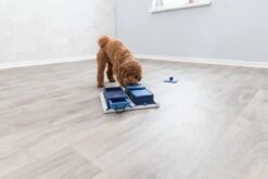 Trixie Dog Activity Poker Box 1 - 31X31 CM 29 Trixie Dog Activity Poker Box 1 - 31X31 CM -Hondenbenodigdheden Korting 1200x800 245