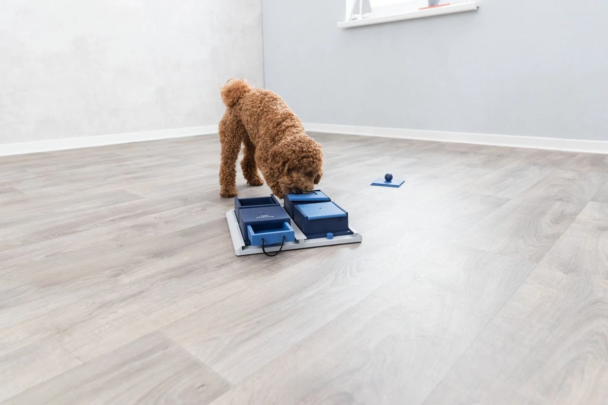 Trixie Dog Activity Poker Box 1 - 31X31 CM 14 Trixie Dog Activity Poker Box 1 - 31X31 CM - Afbeelding 14